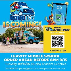 Kona Ice